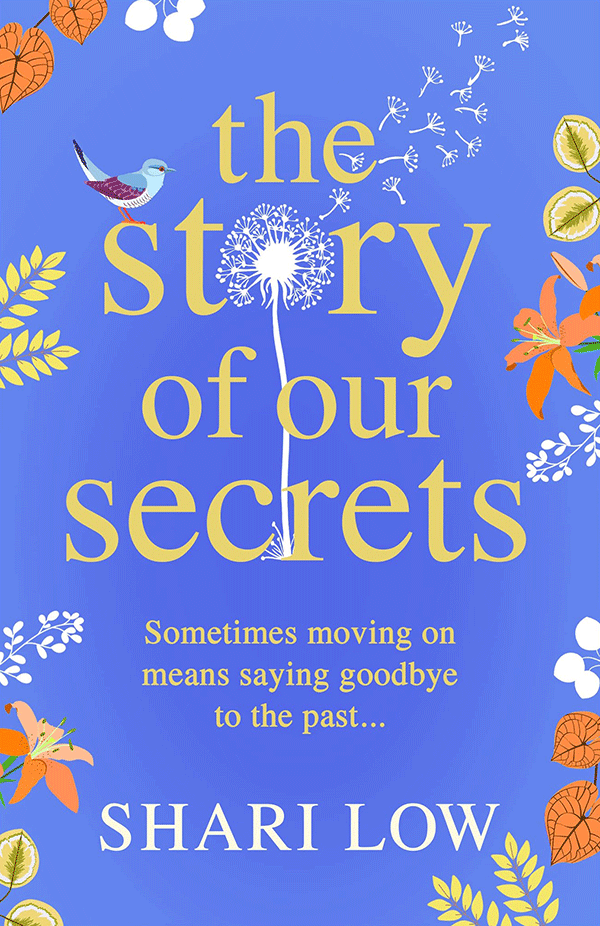 The Story Of Our Secrets by Shari Low - book cover