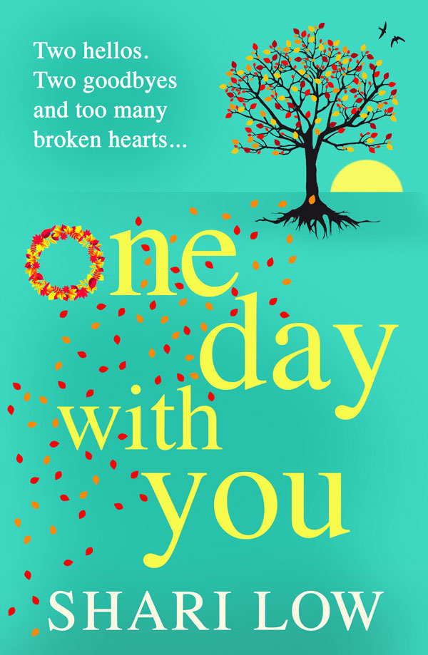 One Day in Summer by Shari Low book cover